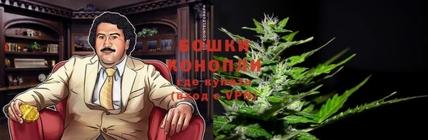 spice Сясьстрой