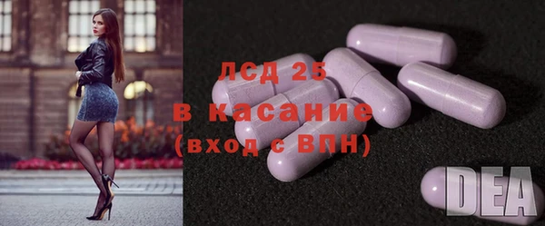 spice Сясьстрой