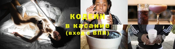 spice Сясьстрой