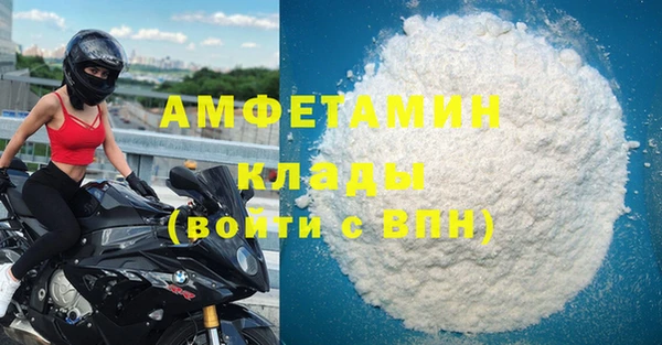 гашик Тайга