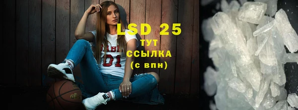 spice Сясьстрой
