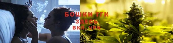 гашик Тайга
