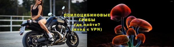 гашик Тайга