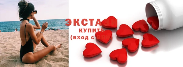 гашик Тайга