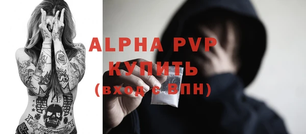 гашик Тайга