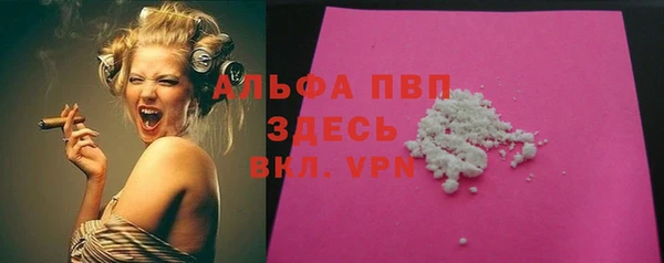 гашик Тайга