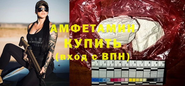гашик Тайга