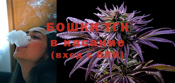 гашик Тайга