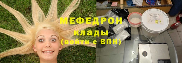 гашик Тайга