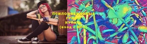spice Сясьстрой