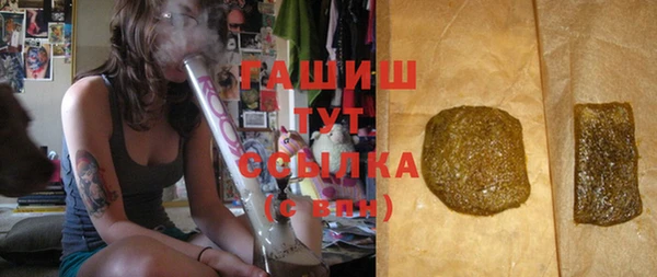 гашик Тайга