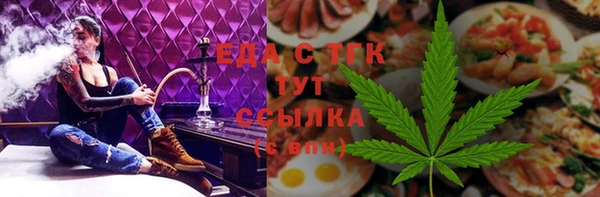 гашик Тайга