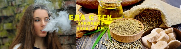 гашик Тайга