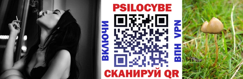 Псилоцибиновые грибы Psilocybine cubensis Оленегорск