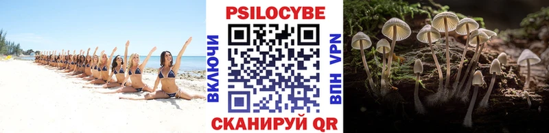 Псилоцибиновые грибы мицелий  Купить  Оленегорск 